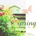 Spring（钢琴曲） EP