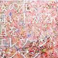 桜の花、舞い上がる道を