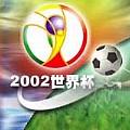 2002 FIFA World Cup Official Album